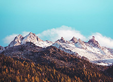 华体会hth体育-英超纽卡斯尔俱乐部前老板收购德国Puma近6%股权